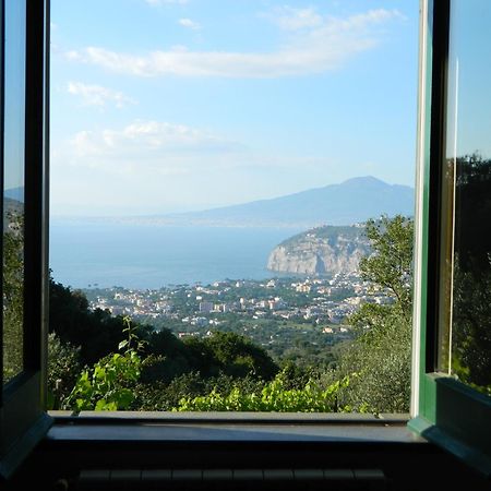 Gli Ulivi Agriturismo Sant'Agnello Eksteriør billede