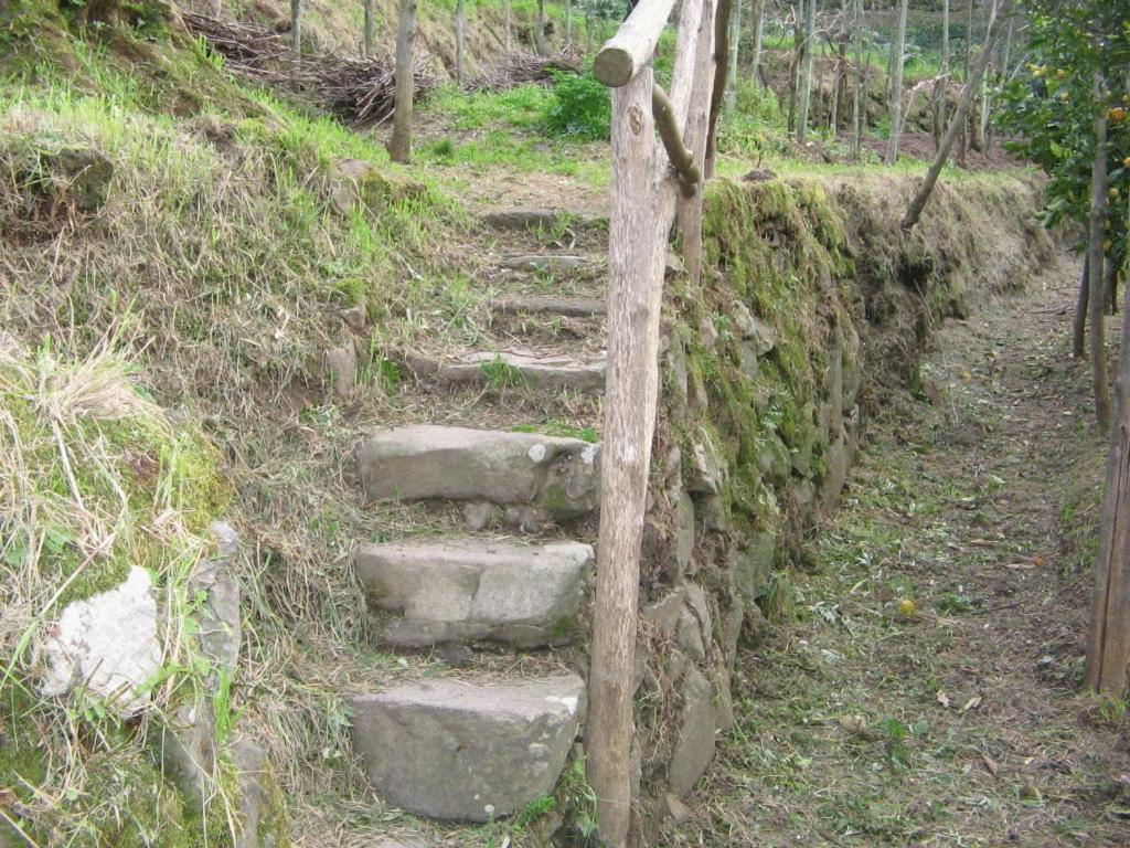 Gli Ulivi Agriturismo Sant'Agnello Eksteriør billede