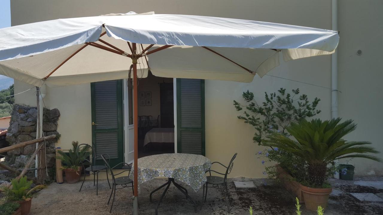 Gli Ulivi Agriturismo Sant'Agnello Eksteriør billede