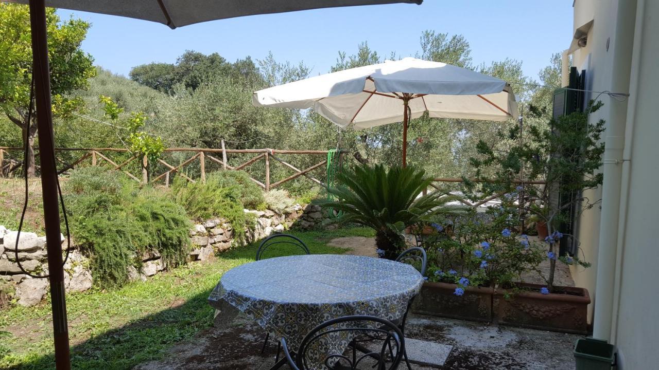 Gli Ulivi Agriturismo Sant'Agnello Eksteriør billede