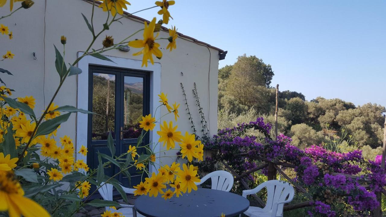 Gli Ulivi Agriturismo Sant'Agnello Eksteriør billede