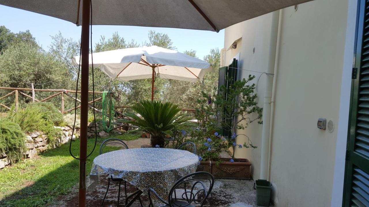 Gli Ulivi Agriturismo Sant'Agnello Eksteriør billede