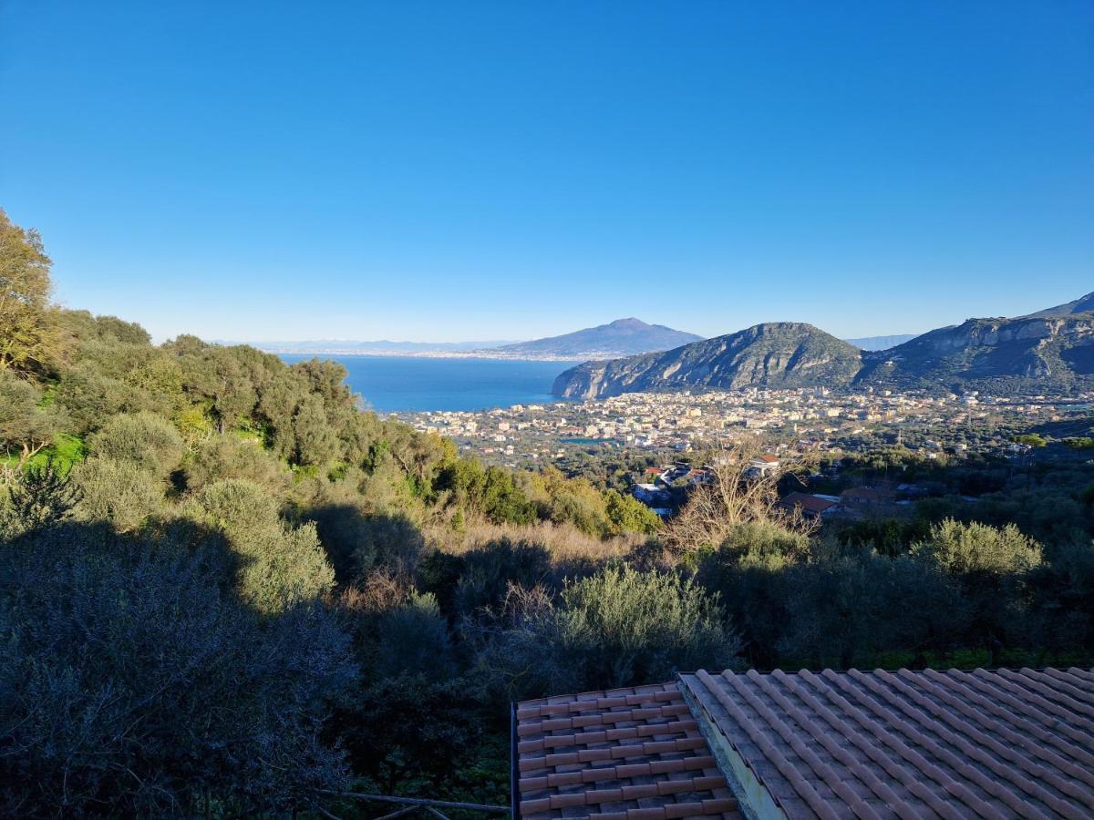 Gli Ulivi Agriturismo Sant'Agnello Eksteriør billede