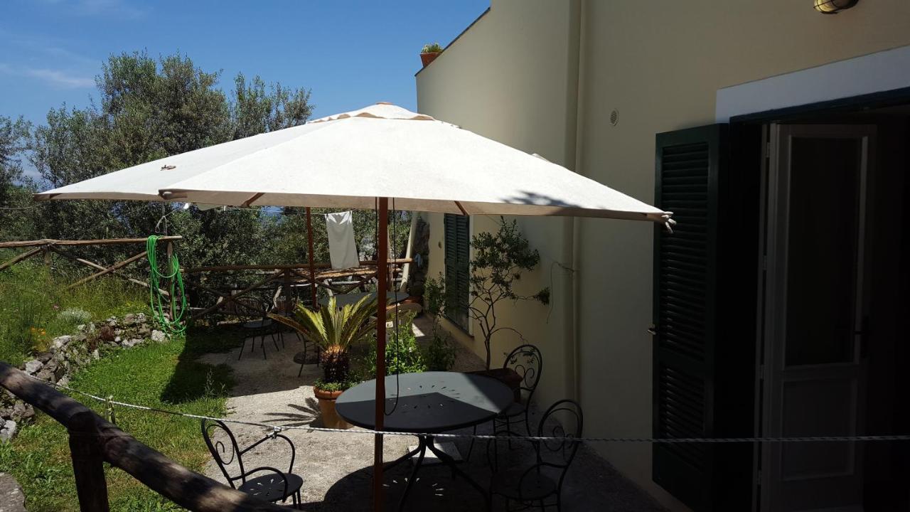Gli Ulivi Agriturismo Sant'Agnello Eksteriør billede