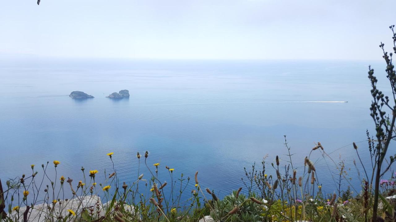 Gli Ulivi Agriturismo Sant'Agnello Eksteriør billede