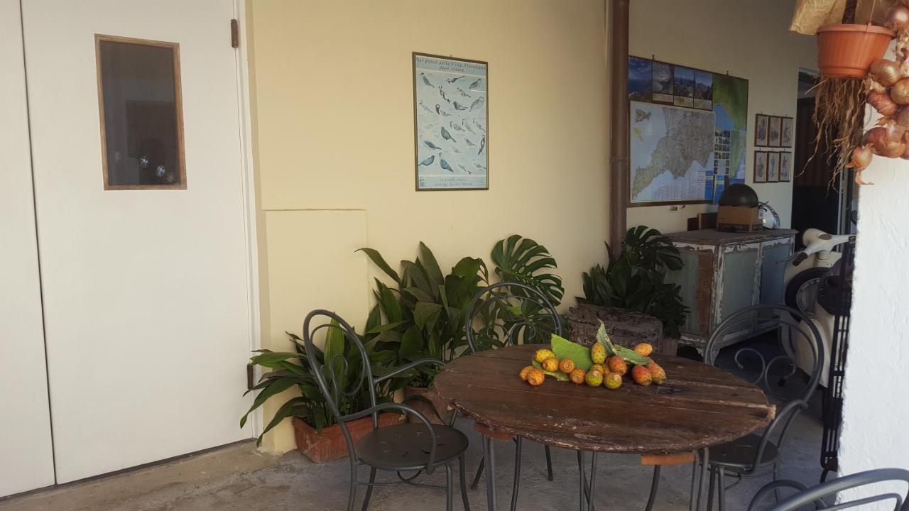 Gli Ulivi Agriturismo Sant'Agnello Eksteriør billede