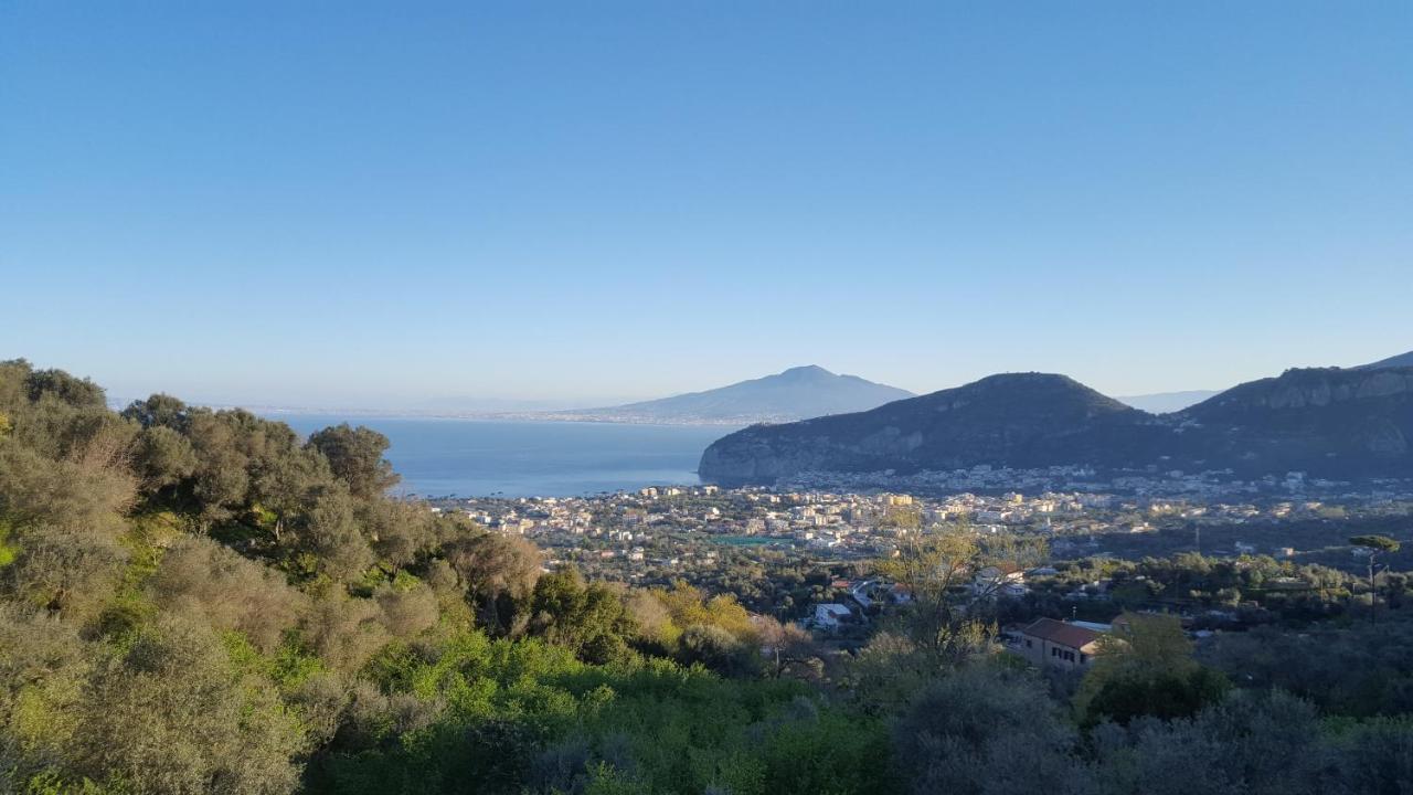 Gli Ulivi Agriturismo Sant'Agnello Eksteriør billede