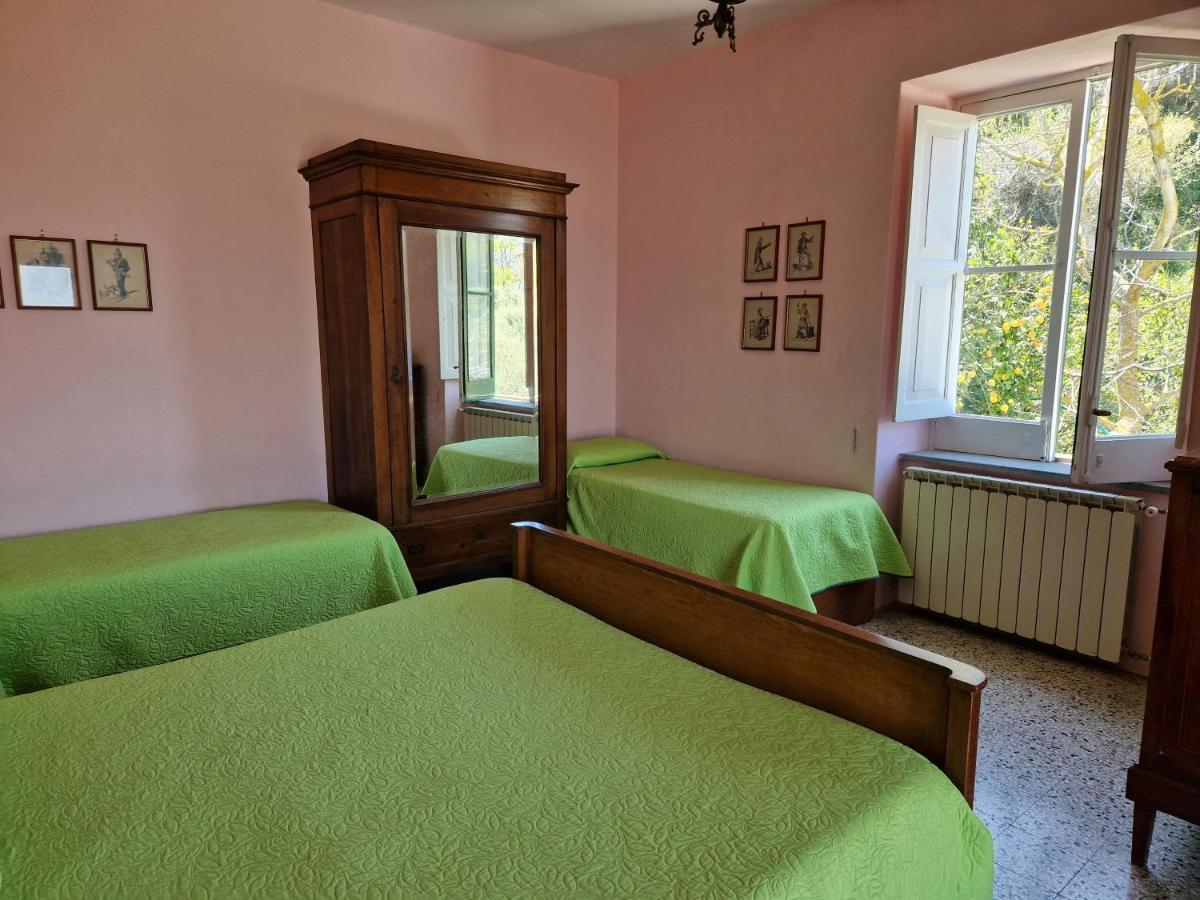 Gli Ulivi Agriturismo Sant'Agnello Eksteriør billede