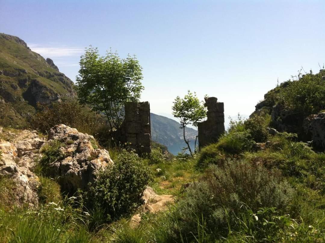 Gli Ulivi Agriturismo Sant'Agnello Eksteriør billede