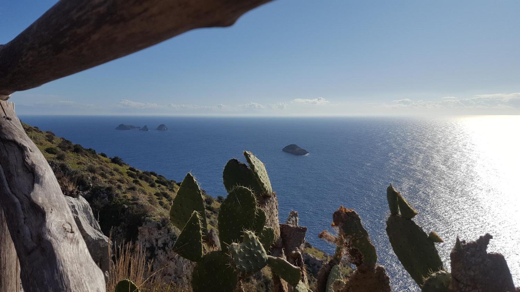 Gli Ulivi Agriturismo Sant'Agnello Eksteriør billede