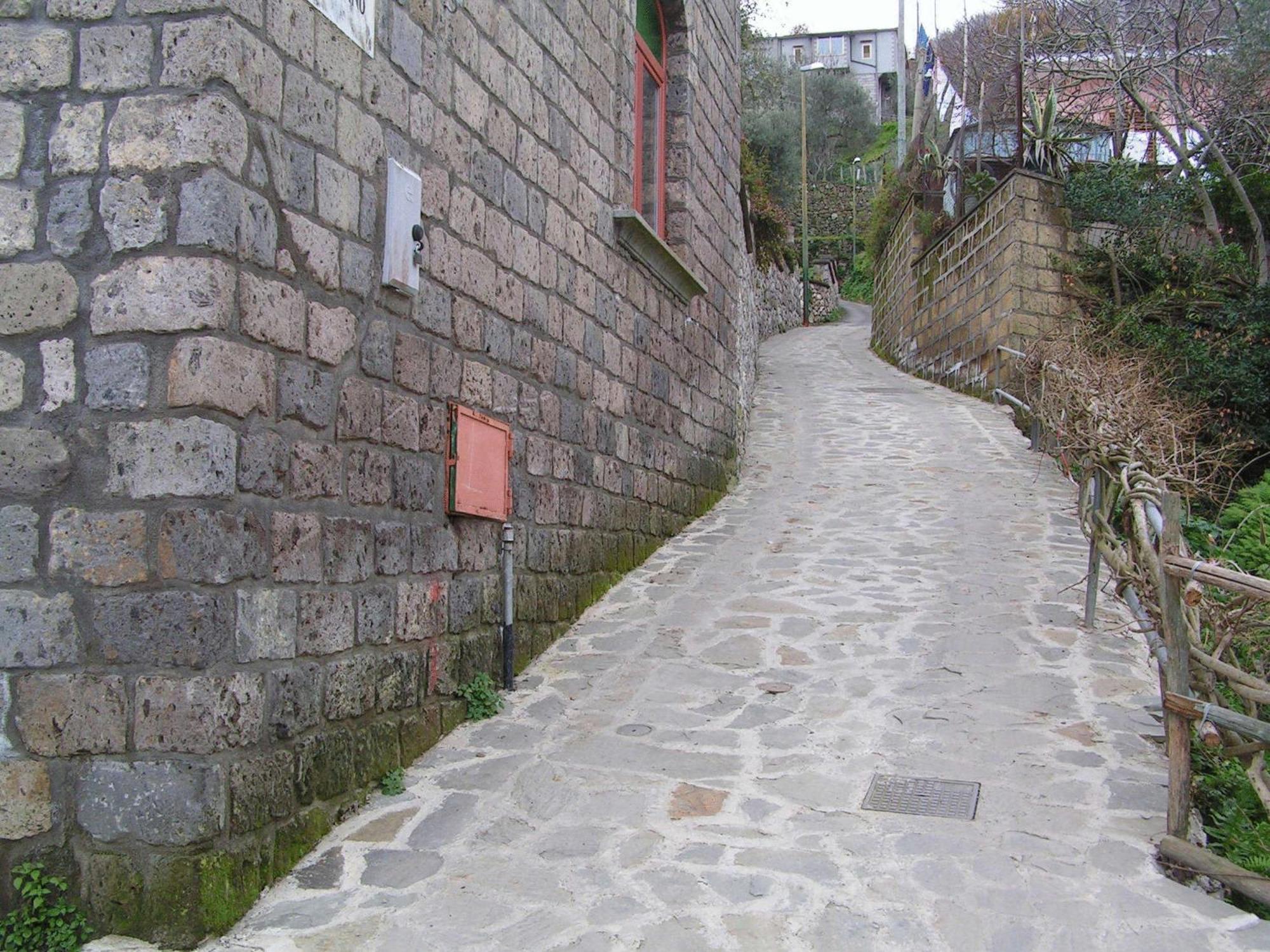 Gli Ulivi Agriturismo Sant'Agnello Eksteriør billede