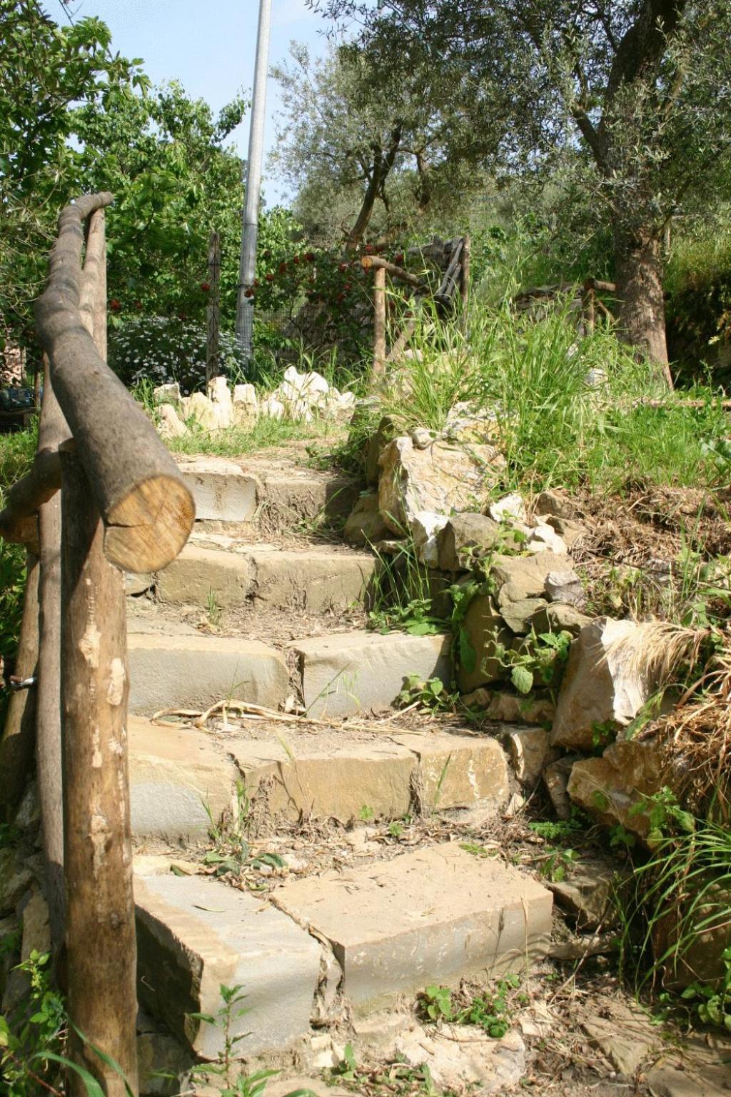 Gli Ulivi Agriturismo Sant'Agnello Eksteriør billede