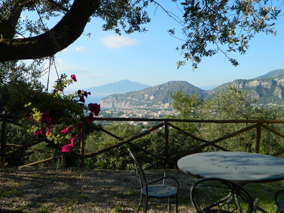 Gli Ulivi Agriturismo Sant'Agnello Eksteriør billede