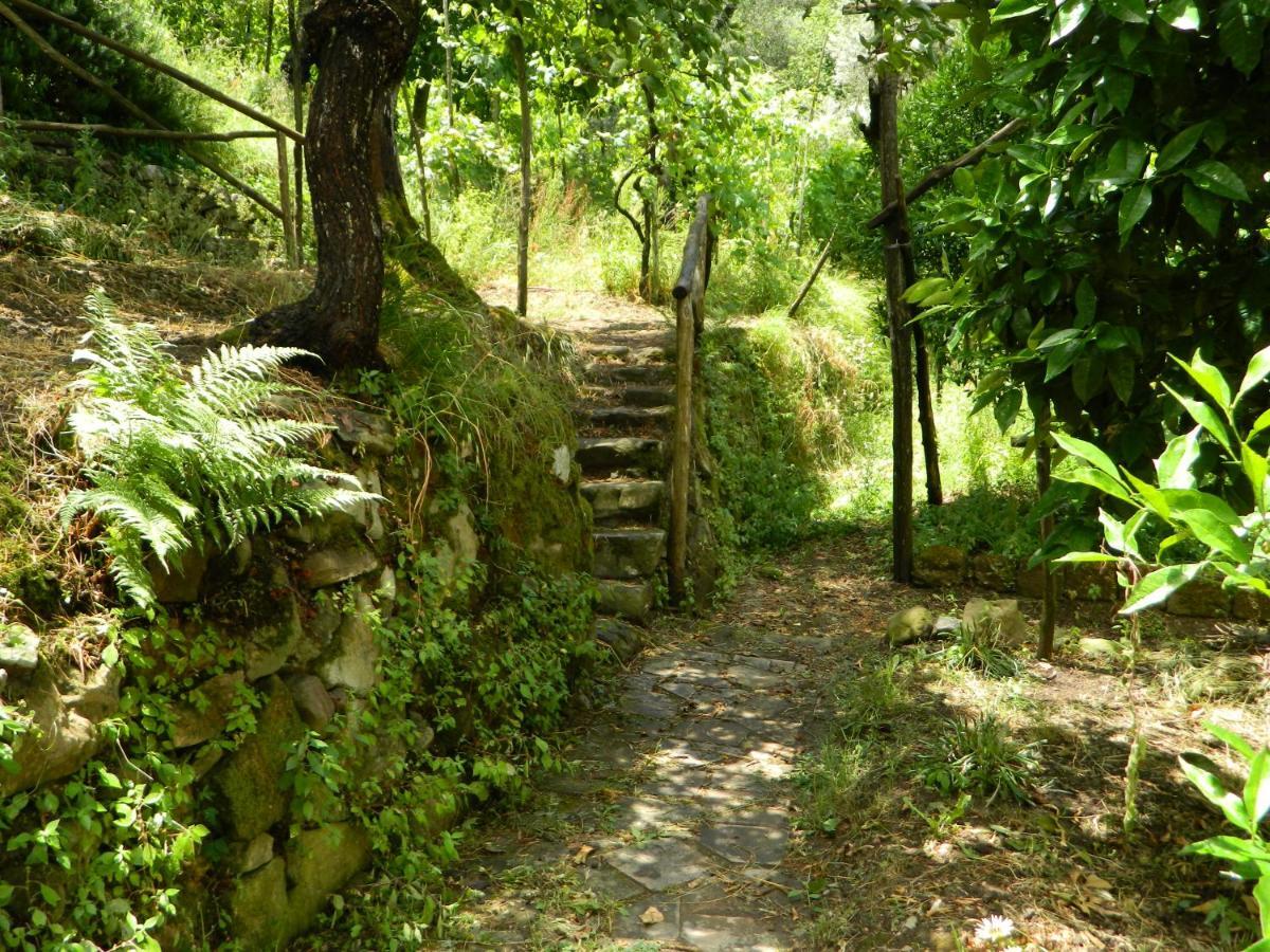 Gli Ulivi Agriturismo Sant'Agnello Eksteriør billede