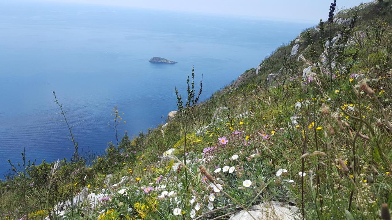 Gli Ulivi Agriturismo Sant'Agnello Eksteriør billede